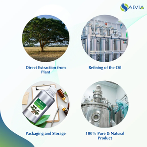 Copaiba 100% aceite esencial puro bálsamo Natural OEM embalaje personalizado venta al por mayor suministro a granel cuidado de la salud Peel precio bajo crudo - Product Image 4