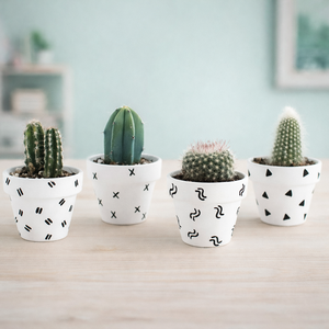 Juego de Macetas de Cerámica Blanca con Diseño Geométrico Pintado a Mano, Duradero, para Interiores, para Suculentas y Cactus, Venta Caliente - Product Image 1