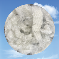 Fibre de polyester creuse conjuguée recyclée 10D 64mm non siliconée ignifuge PSF pour le rembourrage de textiles de maison et de vêtements