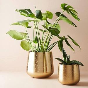 Juego de Soportes para Plantas de Metal Más Vendido, con Múltiples Tamaños, Resistente a la Oxidación, para Sala de Estar, Patio y Jardín, Disponible al Mejor Precio - Product Image 1