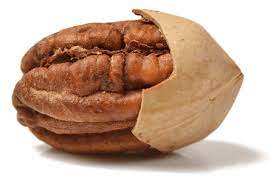 Pecans entiers salés cuits au four de haute qualité, riches en saveur et en nutriments, disponibles dès maintenant en vrac à un prix compétitif - Product Image 6