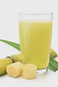 PALOS DE CAÑA DE AZÚCAR RECIÉN CONGELADOS/ETIQUETA LIMPIA/SIN OMG/LISTO PARA USAR/PARA VENTA AL POR MAYOR GLOBAL - Product Image 3