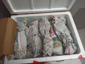 Premium Mother of Pearl Seashell Spoon for Caviar and Desserts Elegant Natural Material Ideal for Wholesale and Export - Product Image 5