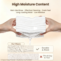 Lingettes biodégradables 100 % végétales pour pattes d'animaux, eau purifiée EDI, formule douce pour le nettoyage quotidien des chiens et des chats, emballage souple portable