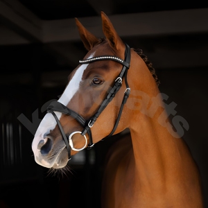 Aachen Giải Phẫu Cổ Dây Đeo Rộng Màu Trắng Đá Brow Ban Nhạc Lót noseband Cưỡi Ngựa Ngựa Sản Phẩm Cho Người Cưỡi - Product Image 2