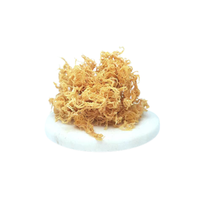 Viet Delta 2025มอสทะเลแห้ง (ทะเลทะเล) กัญชาในบรรจุภัณฑ์ถุงส่งออกคุณภาพสูง - Product Image 4