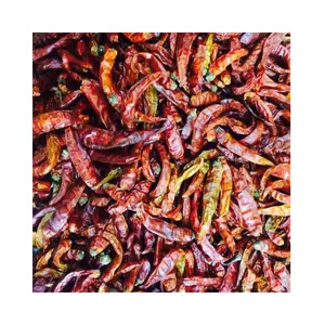 Peperoncino essiccato all'ingrosso piccante caldo fiocchi di peperoncino essiccato di alta qualità a buon mercato in Vietnam