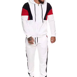 Venta al por mayor de chándales de alta calidad de los hombres de manga larga de los hombres ropa deportiva chándal de los hombres Unisex de gran tamaño de peso pesado chándal - Product Image 1