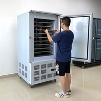 Industriële commerciële 250L 10-bakken shockvriezer/snelvriesmachine voor snel invriezen en snel koelen van voedsel, vlees en snacks