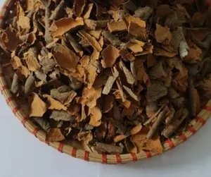 Rotto Cassia-cannella rotta 1% 2% 3% da Yen Bai migliore qualità prezzo di fabbrica all'ingrosso