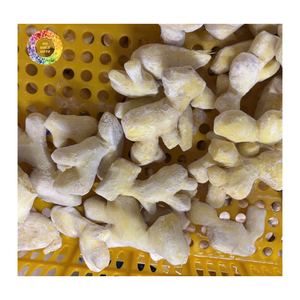 Mezcla de Jengibre Congelado IQF, Jengibre Entero Congelado, Jengibre Pelado, Jengibre en Rodajas y Jengibre en Cubos para Compradores de Todo el Mundo - Product Image 5