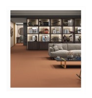 Carreaux de porcelaine de type homogène 60x120 cm 600x600, glaçure à jet d'encre numérique pour l'extérieur, carreaux de sol extérieurs, luxe marbre maison murale
