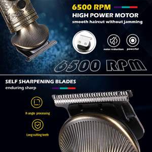 Recortadora de Barba Inalámbrica para Hombre, Afeitadora Eléctrica y Kit de Cuidado Personal, 22 Piezas, Impermeable, Todo en Uno, para Uso en Autocaravanas - Product Image 2