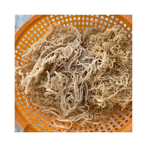 สาหร่ายทะเลแห้ง Chondrus Crispus Eucheuma cottonnii ปรุงรสไม่ใส่เกลือ - Product Image 4
