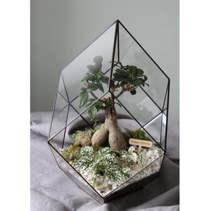 New Top Selling Metal Border Clear <b>Glass</b> Vase Geometric <b>Terrarium</b> Black Colour for Garden Plant Decorative Tabletop Decor - Product Image 4