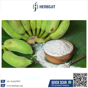 Poudre de banane séchée extraite naturelle pour les bienfaits pour la santé disponible au prix du marché de gros - Product Image 6