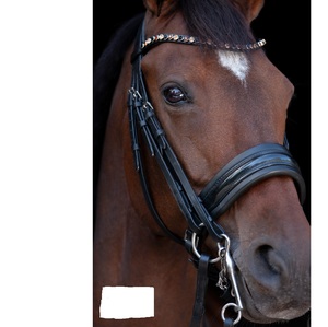Bride Snaffle - Product Image 3
