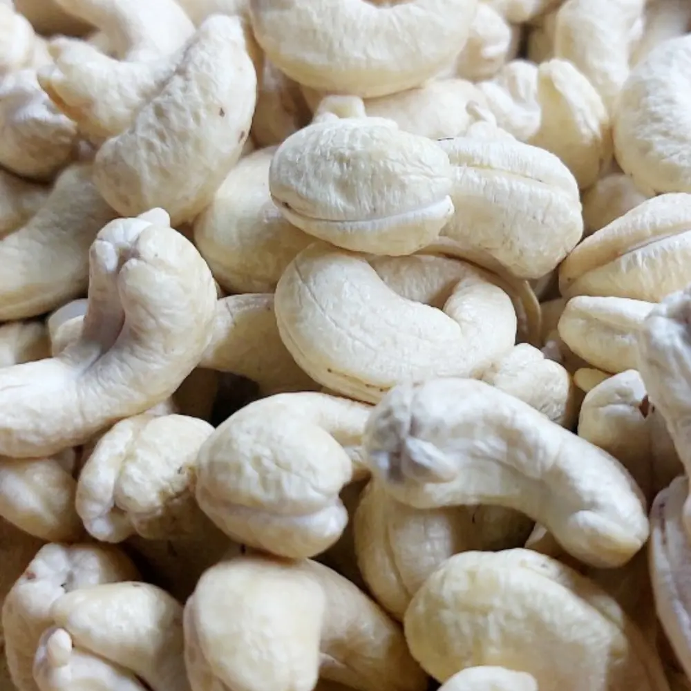 Manufacturing Cashew Nuts Noix De Cajoux Cashew Nut Kernels W240 W320 W180 Wholesale Exported To US, EU, Middle East