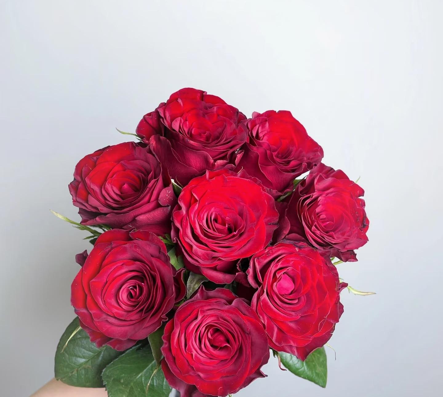 ไฮแลนด์เรด