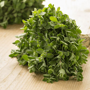 Hierba para uso culinario Mejorana seca egipcia Sabor y aroma natural aromático Perfecto para condimentos y té de hierbas de alta calidad - Product Image 3