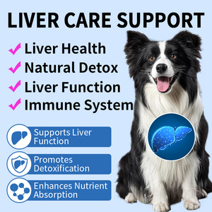 Tabletas de protección para el hígado y los riñones, soporte <span class=keywords><strong>renal</strong></span>, masticables suaves para <span class=keywords><strong>perros</strong></span>, tratamiento de alimentos naturales con extracto de arándano - Product Image 5
