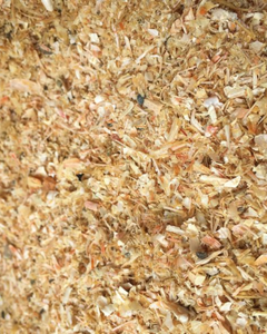 POLVO DE CONCHA DE CAMARÓN SECO AL POR MAYOR DE ALTA CALIDAD PARA EXPORTACIÓN DESDE VIETNAM - Product Image 1