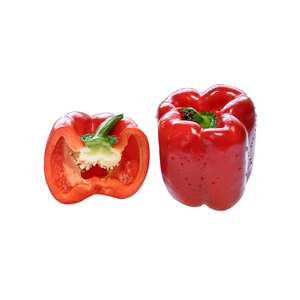 Capsicum rouge de qualité supérieure fourni au prix d'usine avec livraison rapide - Product Image 2