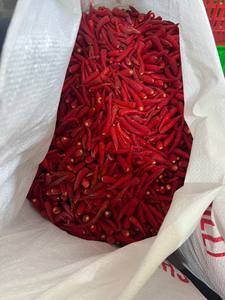 Piment rouge congelé en vrac, cryopréparé, qualité supérieure IQF, 10 kg, épices du Vietnam, excellence culinaire, sans ingrédients chimiques, ingrédients alimentaires - Product Image 3
