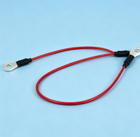 Cable de Carga Alternativo HB451748 HIT para HIT Cij, Repuestos