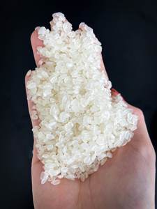 Riz Camolino Premium Calrose moyen Arroz du Vietnam Emballé 25kg 50kg Riz Riso Meilleure vente 2024 - ANNA DO VILACONIC - Product Image 4