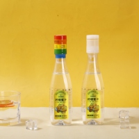 Natuurlijke Honing Elixir Drank met Premium Fruit Smaak Gezonde Levensstijl Drank 435ml Fles