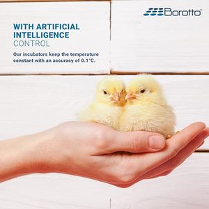 ตู้ฟักไข่ Borotto ขนาดกลาง 49 ฟอง พร้อมเทอร์โมสตัท ผลิตในอิตาลี แท้ 49 ฟองขึ้นไป ตู้ฟักไข่อัตโนมัติระดับมืออาชีพ 110-120V - Product Image 6