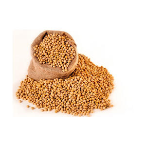 Soja biologique OGM et sans OGM style séché en vrac exporté par les vendeurs en gros - Product Image 2