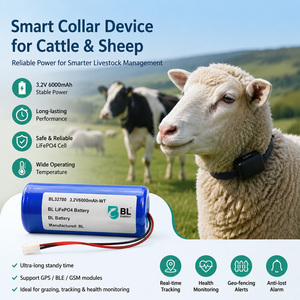 Batterie LiFePO4 32700 3.2V 6000mAh pour dispositif de suivi des animaux, solution de batterie personnalisée - Product Image 2