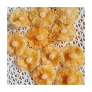 Ananas séchés doux de qualité supérieure Fourniture en gros du Vietnam Snack sain Exportation de fruits secs naturellement sucrés biologiques - Product Image 1