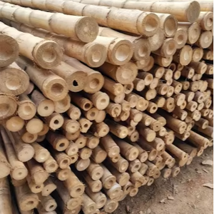 Varas de bambú ligeras y resistentes, ideales para la construcción, jardinería, cercas, diseño de interiores y producción de artesanías. - Product Image 5