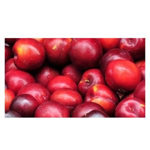 El precio más barato Proveedor de frutas frescas a granel Ciruelas con entrega rápida - Product Image 6