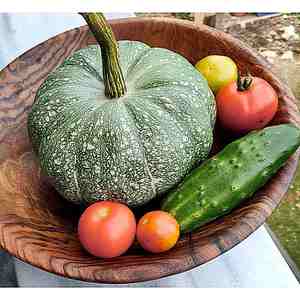 Bol en bois de mangue noyer personnalisé le plus vendu poli écologique pour le camping de fête haut de conception d'exportation indienne de haute qualité - Product Image 1