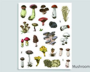 Autocollant décoratif mignon, feuille de chat en forme de champignon - Product Image 1