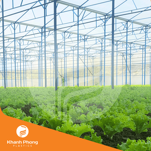 La película de invernadero para verduras y frutas respalda el cumplimiento de los estándares VietGAP, GlobalGAP y orgánicos - Product Image 4