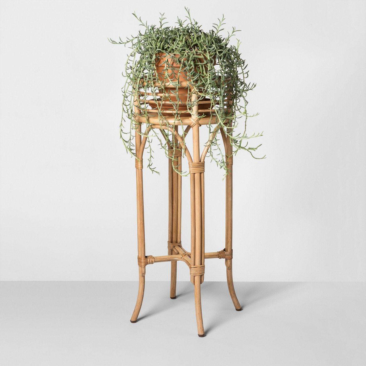 ธรรมชาติ