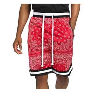 High Street Men's Double-<b>Layered</b> Mesh Shorts High Quality 100% Polyester Sublimation Print Painted Heavyweight Thick Summer - Product Image 1