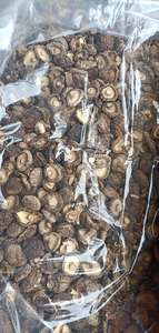 Champignons Shiitake séchés de haute qualité, les plus vendus au Vietnam, au prix le plus bas/Ms. Serena - Product Image 6