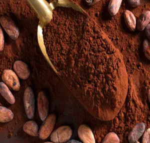 Polvo de cacao orgánico ecológico | Polvo de cacao alto en grasa de grado de lujo con certificación de Comercio Justo | Color y aroma profundos - Product Image 6