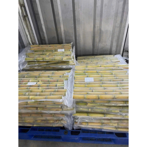 Varitas de caña de azúcar congeladas orgánicas a granel de Vietnam, naturalmente dulces y frescas, perfectas para hacer jugo y distribución internacional - Product Image 2