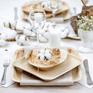 Tienphong Ensemble d'assiettes carrées compostables écologiques de 10 pouces et 8 pouces en feuille de palmier Vaisselle jetable en forme de coeur de 6.5 pouces - Product Image 3