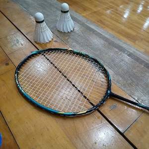 Zen Wing Shuttlecock design logo personnalisé professionnel de haute qualité - Product Image 6