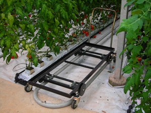 Équipement d'agriculture en serre de qualité supérieure, chariot de récolte standard pour tomates, construction en acier, garantie de 2 ans, provenance de Turquie - Product Image 2