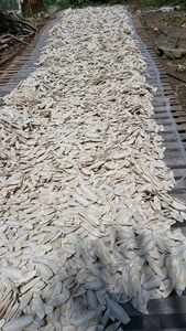 Os de seiche Matériau marin vietnamien authentique Parfait pour l'art et la décoration d'aquarium - Product Image 4