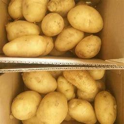 Premium Quality <b>Fresh</b> Sweet <b>Potatoes</b> Bright Yellow Flesh Round Pattern Taste From Austria Vienna - Product Image 4